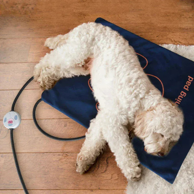 Waterproof Pet Heating Pad - Electric Warmer Blanket 45×60cm