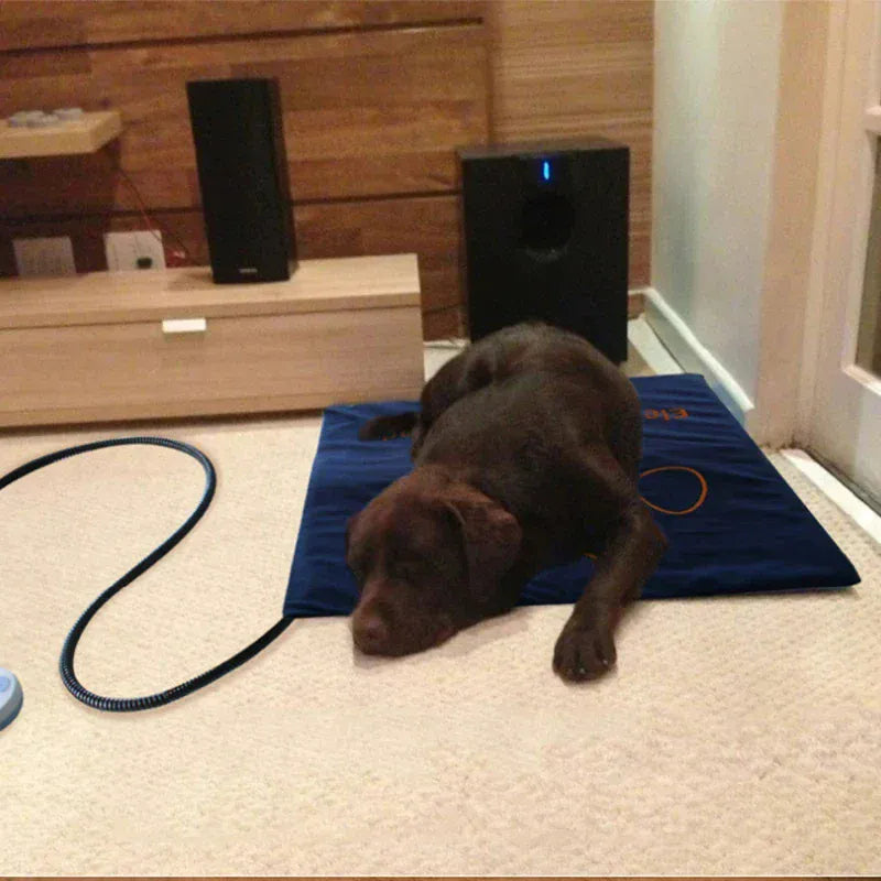 Waterproof Pet Heating Pad - Electric Warmer Blanket 45×60cm