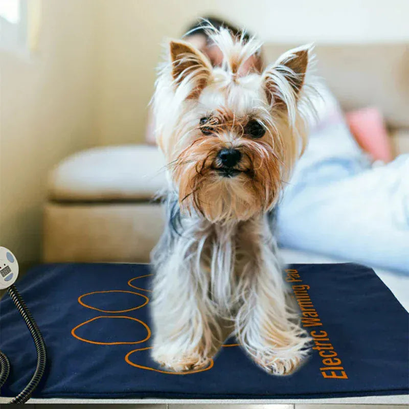 Waterproof Pet Heating Pad - Electric Warmer Blanket 45×60cm